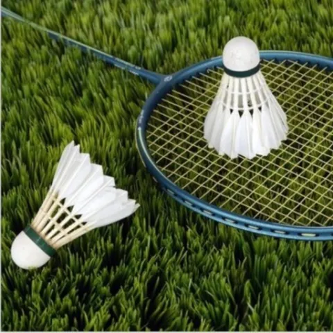 DELL - Badminton woensdagochtend